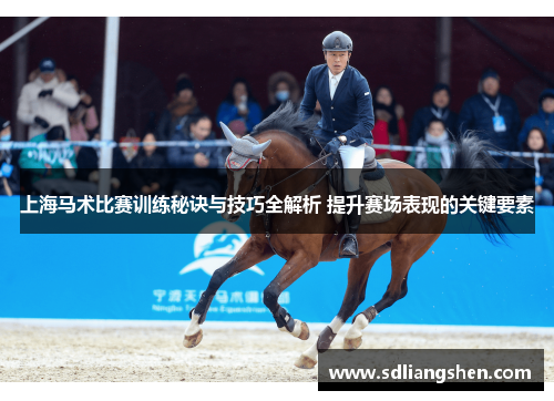 上海马术比赛训练秘诀与技巧全解析 提升赛场表现的关键要素