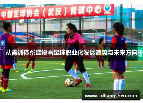 从青训体系建设看足球职业化发展趋势与未来方向