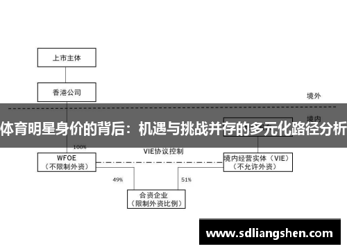 体育明星身价的背后:机遇与挑战并存的多元化路径分析 体育明星身价的背后:机遇与挑战并存的多元化路径分析