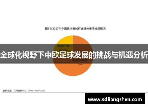 全球化视野下中欧足球发展的挑战与机遇分析
