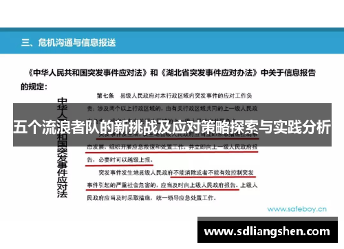 五个流浪者队的新挑战及应对策略探索与实践分析 五个流浪者队的新挑战及应对策略探索与实践分析