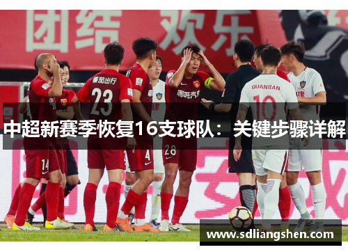 中超新赛季恢复16支球队：关键步骤详解