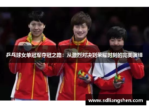 乒乓球女单冠军夺冠之路：从激烈对决到荣耀时刻的完美演绎
