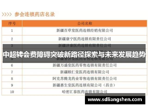 中超转会费障碍突破新路径探索与未来发展趋势