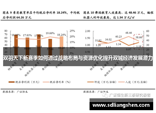双羽天下新赛季如何通过战略布局与资源优化提升双城经济发展潜力