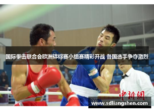 国际拳击联合会欧洲锦标赛小组赛精彩开战 各国选手争夺激烈