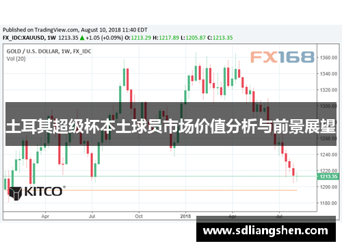 土耳其超级杯本土球员市场价值分析与前景展望