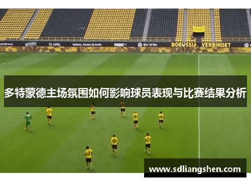 多特蒙德主场氛围如何影响球员表现与比赛结果分析 多特蒙德主场氛围如何影响球员表现与比赛结果分析