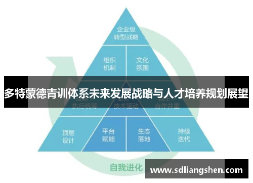 多特蒙德青训体系未来发展战略与人才培养规划展望 多特蒙德青训体系未来发展战略与人才培养规划展望