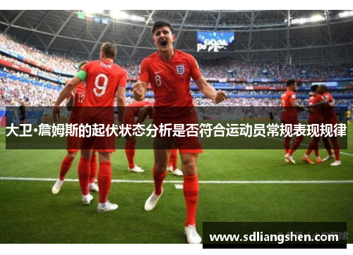 大卫·詹姆斯的起伏状态分析是否符合运动员常规表现规律