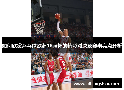 如何欣赏乒乓球欧洲16强杯的精彩对决及赛事亮点分析